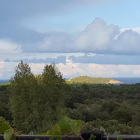 Belle Vue Avec Piscine Chauffee 4 - Baccalocation Villa Cirendinu